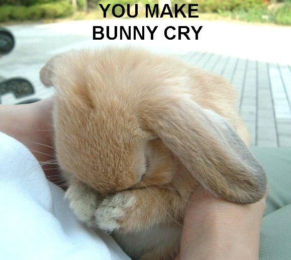 http://squirrelthoughts.files.wordpress.com/2010/03/you-make-bunny-cry1.jpg